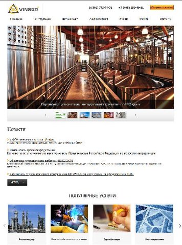 Продвижение сайта vinser.ru